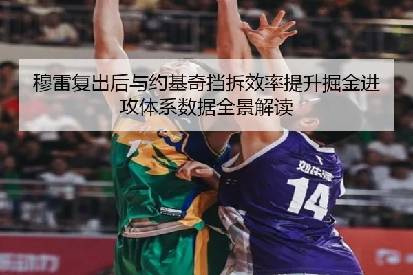 穆雷复出后与约基奇挡拆效率提升掘金进攻体系数据全景解读